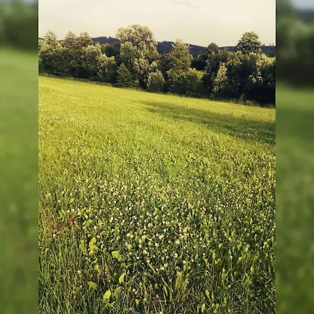 Gemuetliche Rothaarsteig Sauna Ruhrtal Hill Schmallenberg