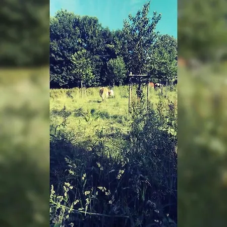 Gemuetliche Rothaarsteig Sauna Ruhrtal Hill Appartement Schmallenberg