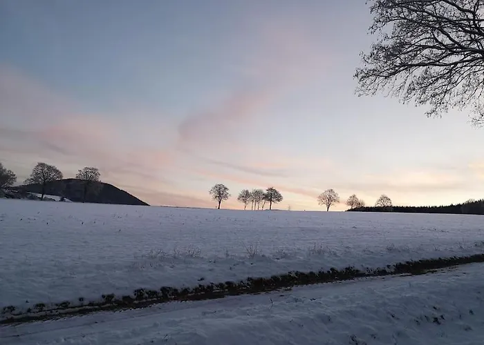 Gemuetliche Rothaarsteig Sauna Ruhrtal Hill アパート シュマレンベルク