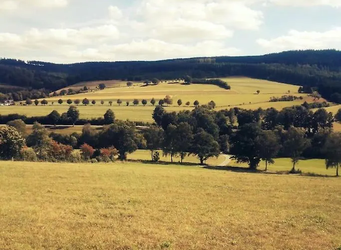 Gemuetliche Rothaarsteig Sauna Ruhrtal Hill *