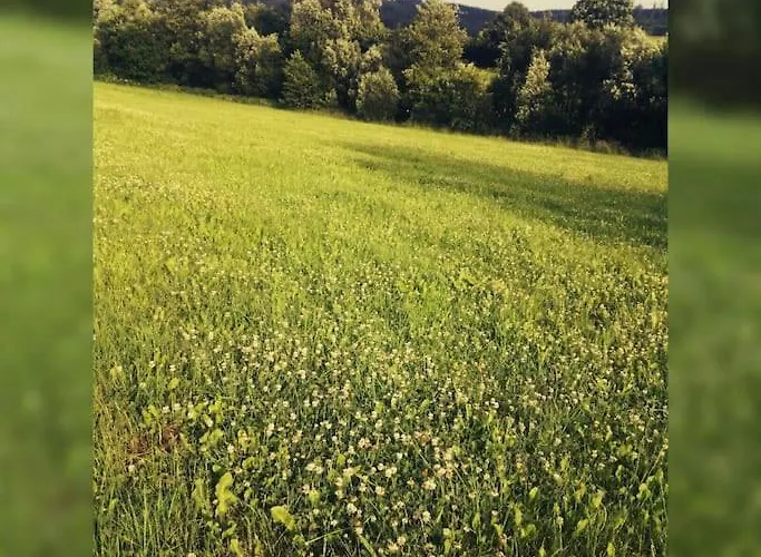 Gemuetliche Rothaarsteig Sauna Ruhrtal Hill Schmallenberg